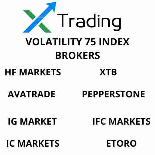 Volatility 75 index brokers