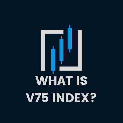 what is v75 index